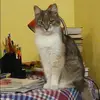 Отзыв от Юлия Ларина